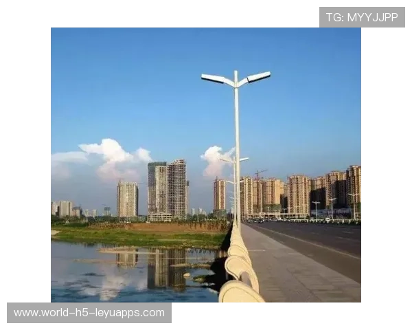 未来前景广阔备受期待（260 ）